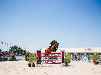 led obrazovka pronájem CZ,EQUINE SPORT CENTER OLOMOUC Světový parkur v Olomouci!