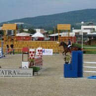 TAX - AUDIT SLOVENSKO GRAND PRIX CSI