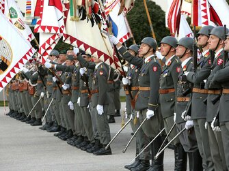 Wiener Neustadt, Austria big paradeParillasound - LED screen and cameras provider